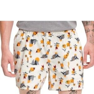 The North Face Mens Class V Shorts Cream Sunset Landscape Print Large NF0A55V8